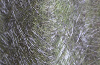 Keresley Newlands fibreglass roof work